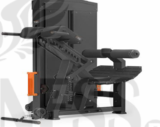 Extensión de Espalda con Carga por Placas