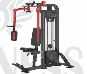 Mariposa (Butterfly)