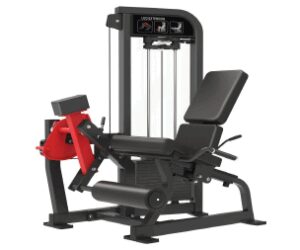 Extensión de Piernas