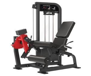 Extensión de Piernas