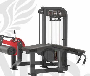 Curl de Piernas Tumbado