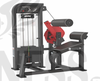 Extensión de Espalda