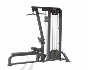 Jalón al Pecho y Remo Largo