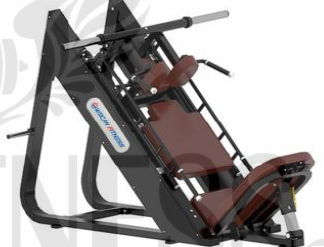 Prensa Piernas + Jaca Hack