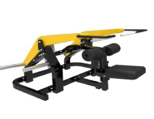 Extensión de Tríceps