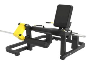 Extensión de Piernas