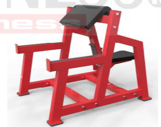 Curl de Brazo Sentado