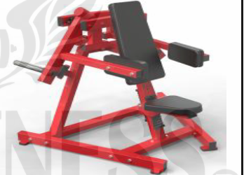 Elevaciones Laterales