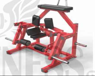 Curl de Piernas ISO (Rodilla)