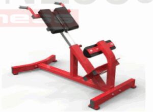 Extensión de Espalda